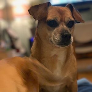 Meet your Posher, Elizabeth